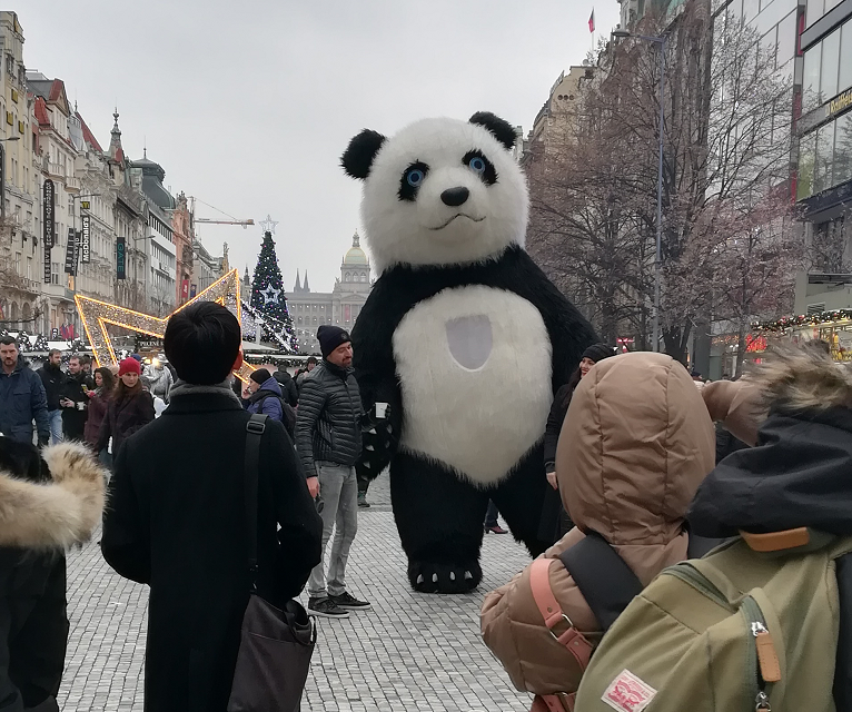 Medvědí trend před koncem roku pokračuje: Akcie jdou do kolenou